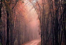 股票配资是什么时候开始的:股市配资-外交部：中国对俄罗斯持普通护照人员试行免签政策